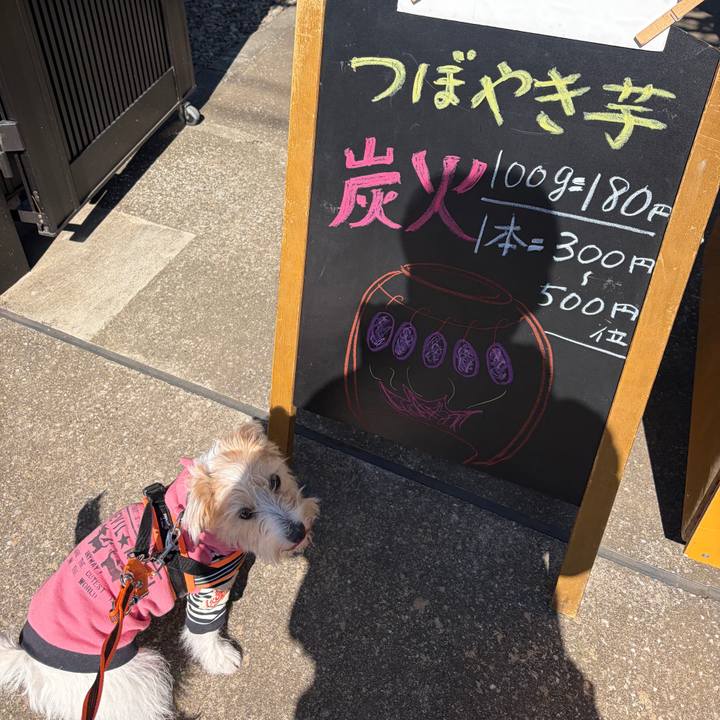 0c60b765 2076 4776 abf0 f395eac18a1a 1771642065360