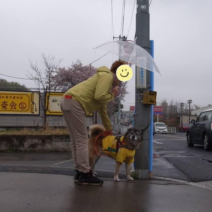 0c60b8e3 ad12 453f bb70 133866d17184 1602288123904