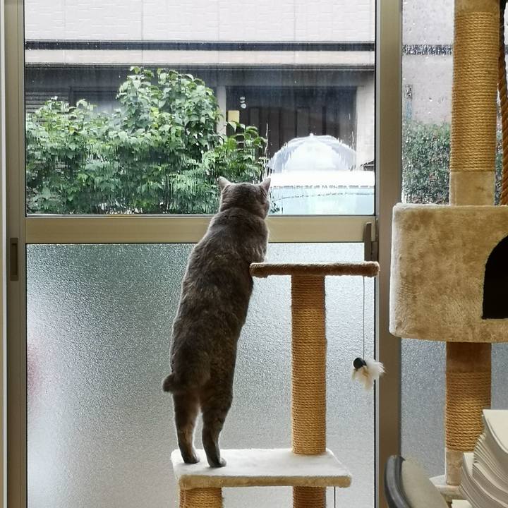 0c60daa5 6574 45fc 8f0b 18e57b741289 1566980089980