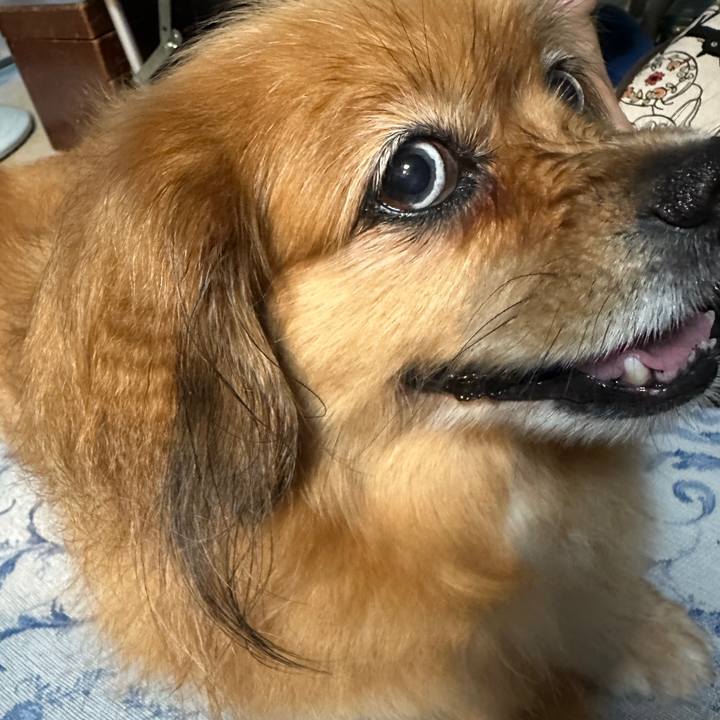 0c610819 1873 4c36 b5b6 ad43106066c2 1752700443368