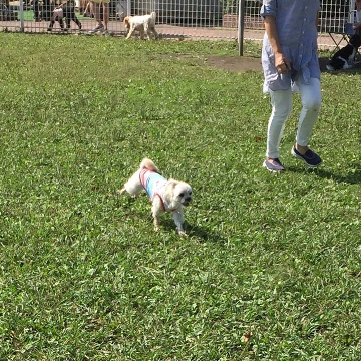 0c6110fb 2fcd 45c5 910b 8e07713f99ce 1538815351130