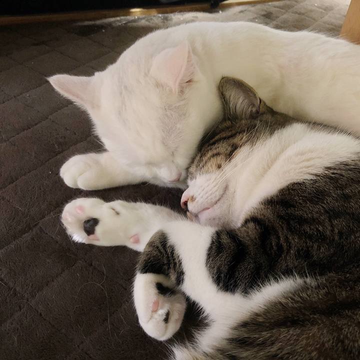 0c6113bc ba96 4228 a71b 328256a021f3 1585996684589