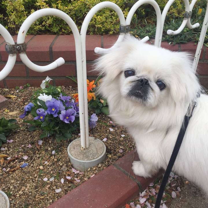 0c612c1a f854 42ab 919d 144641376e77 1555069235318