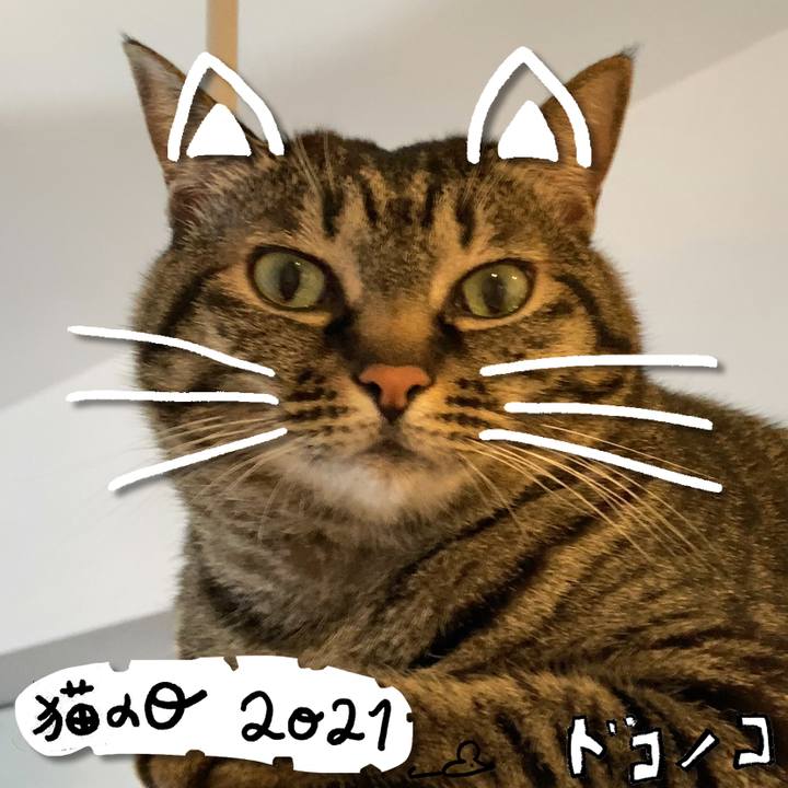 0c612c70 2675 4baf af14 b121b39a81e9 1613966112944