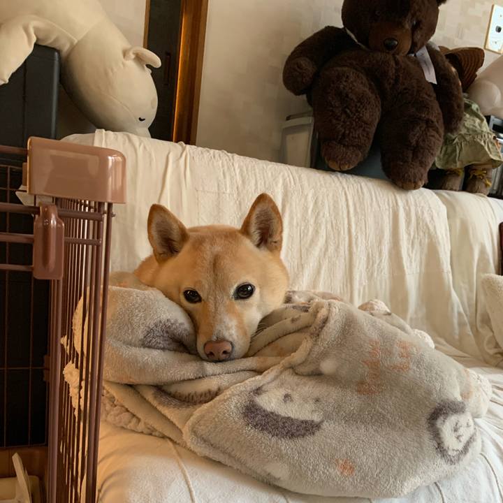 0c614295 6d0e 4777 84da 53af34c9260f 1638248164275