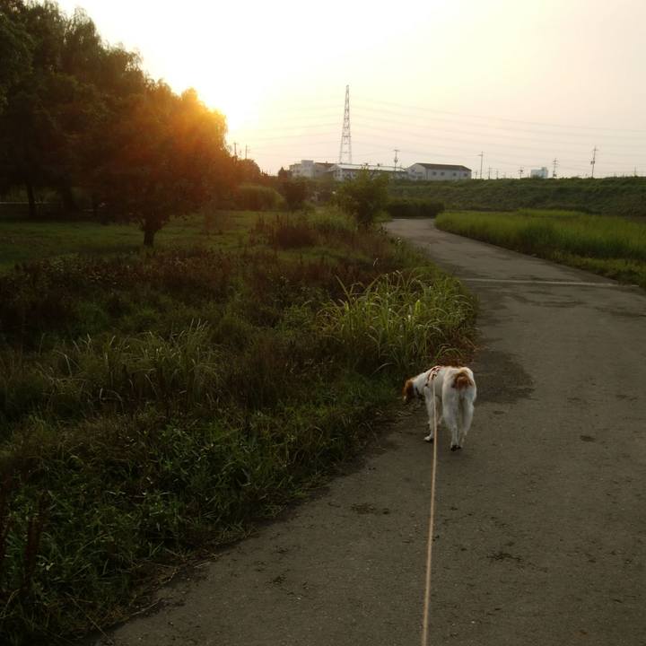 0c61ab78 66eb 4e50 bc60 979118487012 1531915020300