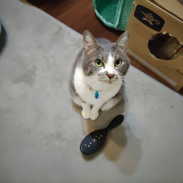 0c61b111 7265 46e8 834f 858d77cc7853 1707256196893