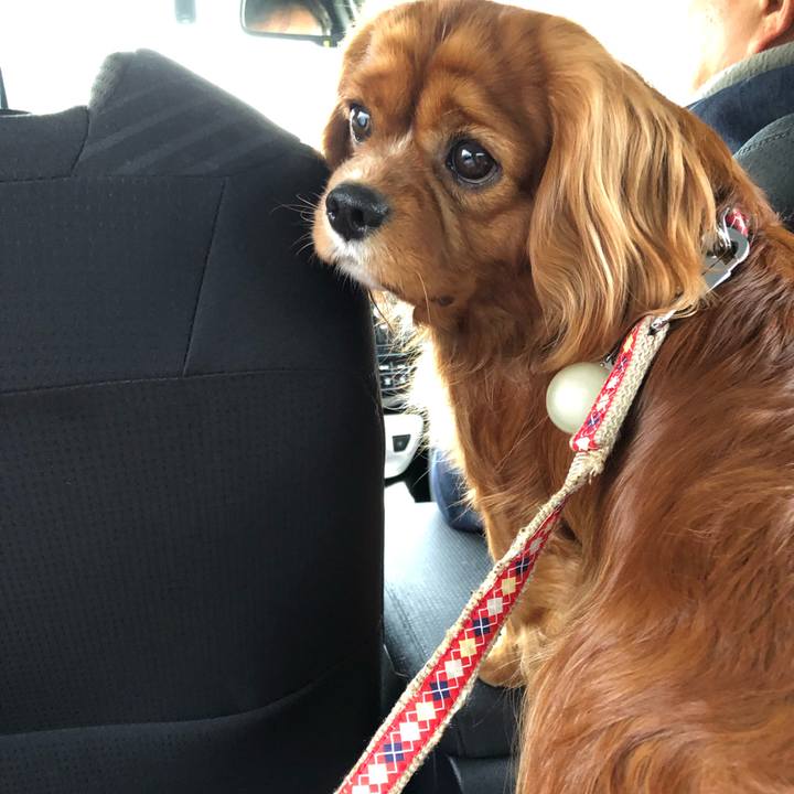 0c61c409 aca2 4c8e b8b1 2fd160240884 1581819079123