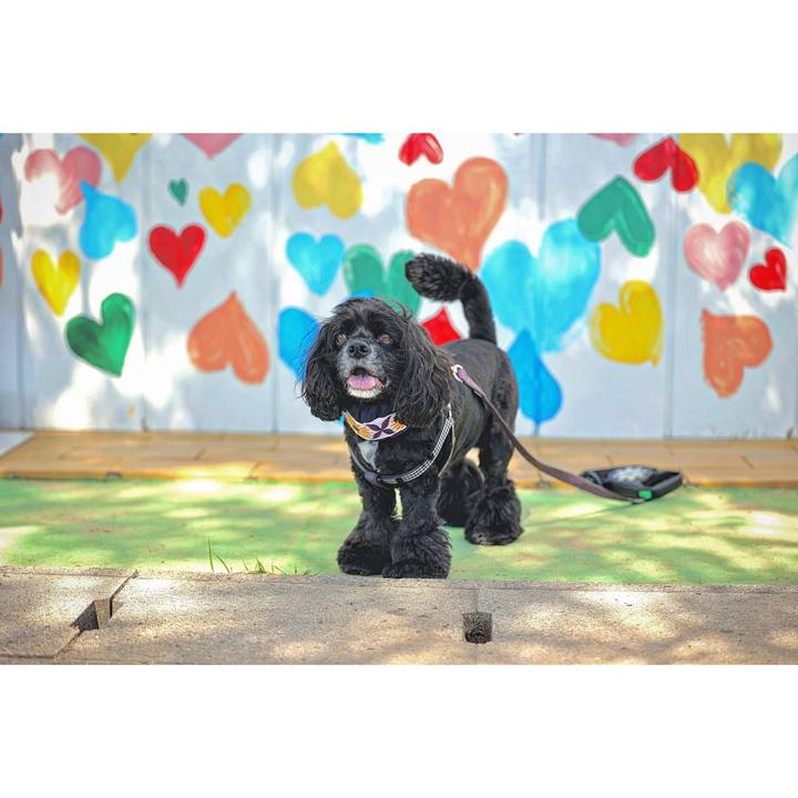 0c61c67f d656 4fd6 9655 e8b87dc155fc 1686034610924