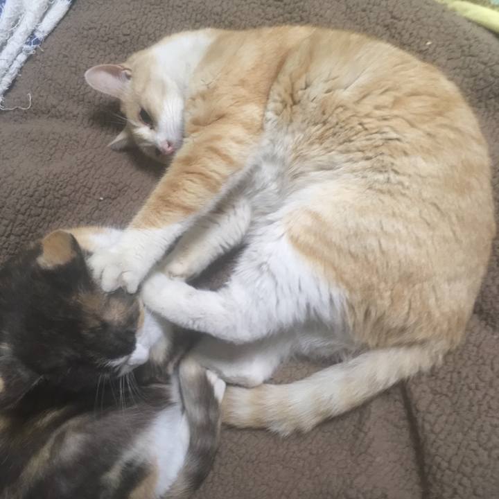 0c61c938 80b3 414b b1da 650978a325e2 1551707472667