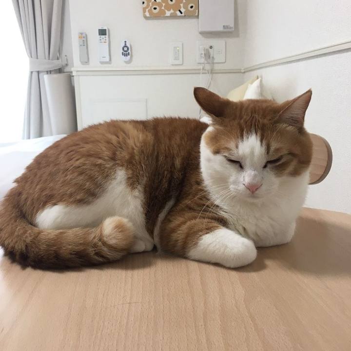 0c61ceb6 65b1 4c5a 85a9 d7a3c70d476c 1587083231632