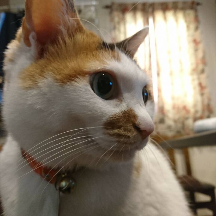 0c61e4d4 9270 447d 9ed0 c69ca62af029 1524867920338