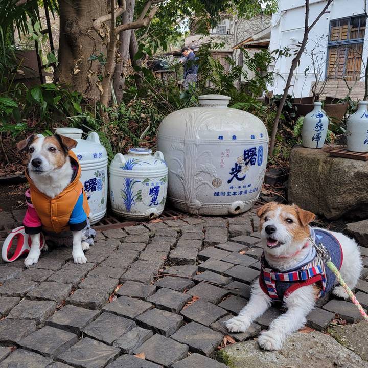 0c61eb6d 2bf6 4d17 ab47 8c9897cb848d 1741437900873