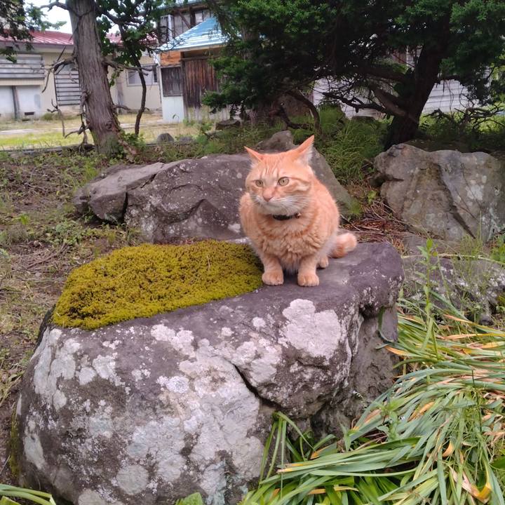 0c61f549 8be1 4aa5 928c a33fab82e31f 1686300385374