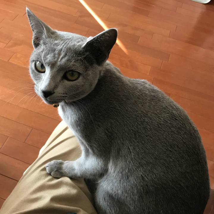 0c61fcd0 191d 4416 8251 5b5d3da9897e 1518509683279