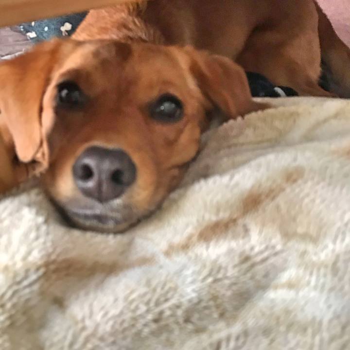 0c6258c4 c917 42ff 8a0c bd90e265b9b6 1538710376479