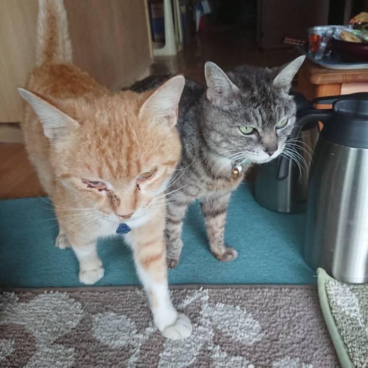 0c62709d bcef 46fb 8c4c 2e6e1d9c2882 1558342860827