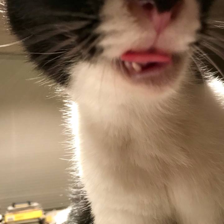 0c62c1fc 106f 41d6 938a a5964e0f4fce 1549080838942