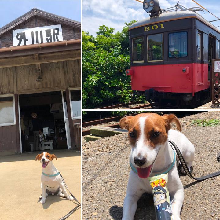 0c62c93b b2eb 451c ac20 35ef3f827547 1561434339799