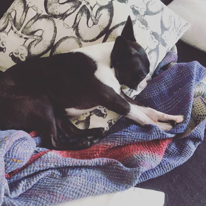 0c62dcdc 8155 47a5 a70e 763b2e6dd63c 1540089859285