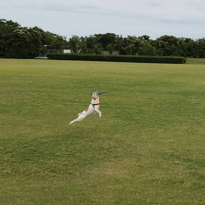 0c635bf3 480b 46cd a644 c5b31a3d63fe 1525360506951