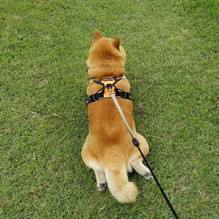 0c636495 9c4b 4650 a115 bd076a0df8a1 1654927196938