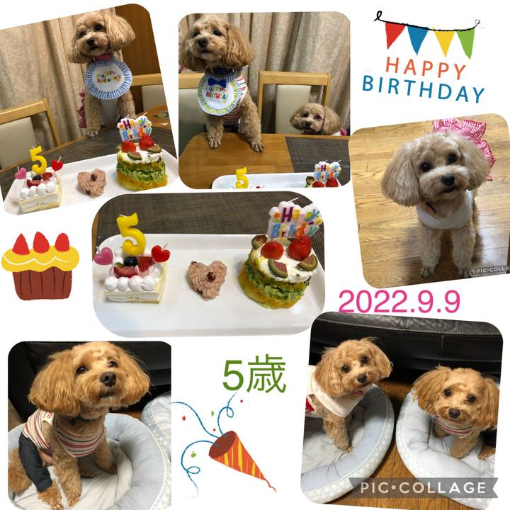 0c6366c1 63ea 4cc7 95d5 051f5a25c8af 1662738480006