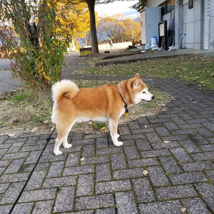 0c638414 1f7d 42f2 a700 58cf3108abc0 1636095476580