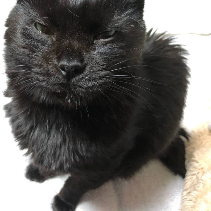 0c638b2b 9a2e 4a03 b82c ef08e7e518be 1618326773942