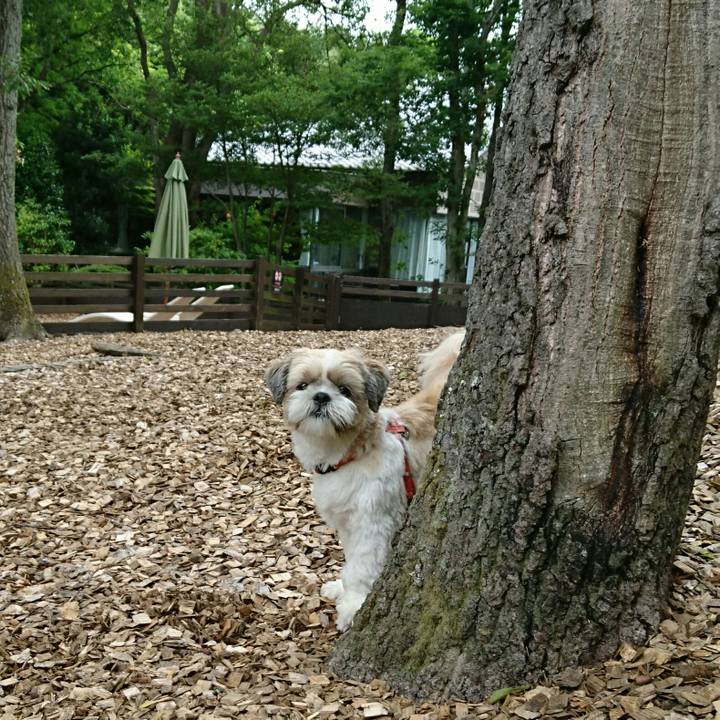 0c63bdad 7531 4e66 87ac 680e466e187b 1527296733942