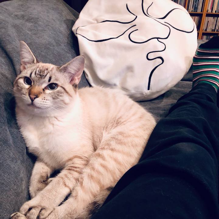 0c63de73 f4f7 4d74 abf7 85d9d458c94f 1737582591157