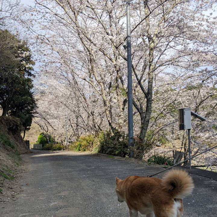 0c63dff6 a01c 4142 8b54 bdca73162ea9 1743772745487