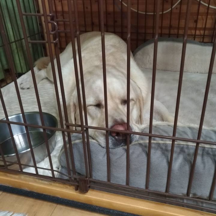 0c640109 4816 45fc 825f 3f1a91a621b0 1598906813334