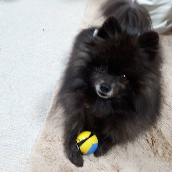 0c642997 8fd2 4014 b354 c0d12ced2ea8 1517604697371