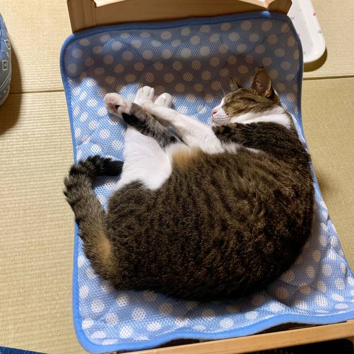 0c642b15 74a7 4392 b30e 110cd1199d23 1565877821180