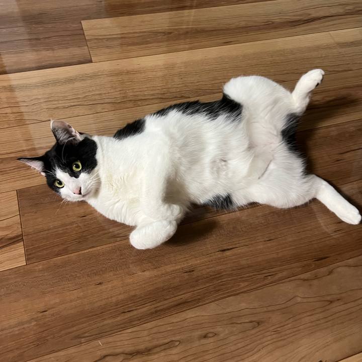 0c643658 0beb 46f3 949a 54e38275060b 1648304519431