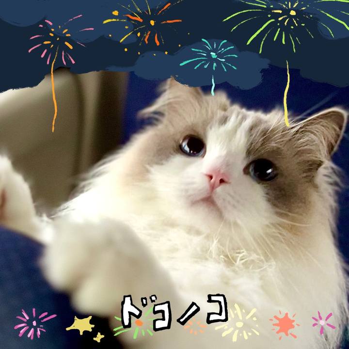 0c644d4d 83f9 436e bf96 626fe0d95964 1723593228559