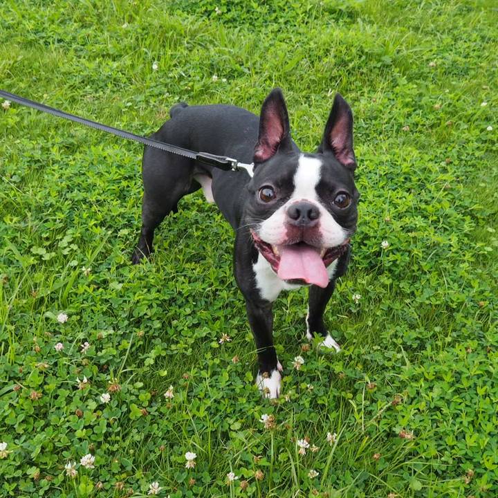 0c644d68 b2d5 4447 90eb a068e039f0b0 1563007611642