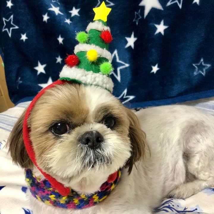 0c644ecf ca97 4711 934f 57dbde4a5eb4 1577176781661