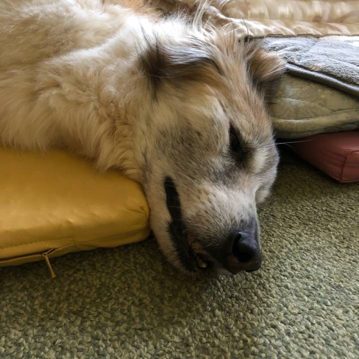 0c64c3d2 d8e6 4cb3 9d5a 742f3b686a1f 1557874213634