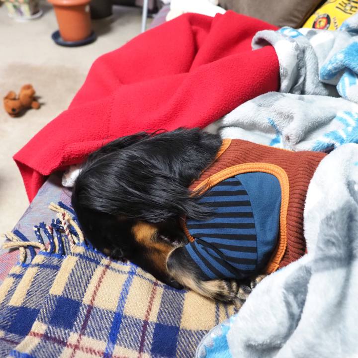 0c64d930 d065 476f 8a36 980014ee8810 1613021722705