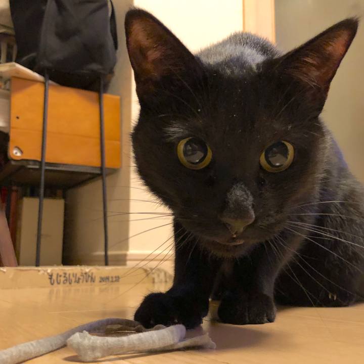 0c64f921 d285 44cf 9626 dde1b69be181 1551700562459