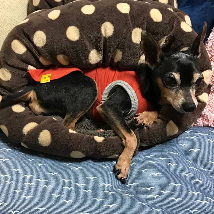 0c6533af 5b81 48fa 9b01 eab46bf509f5 1577703846330