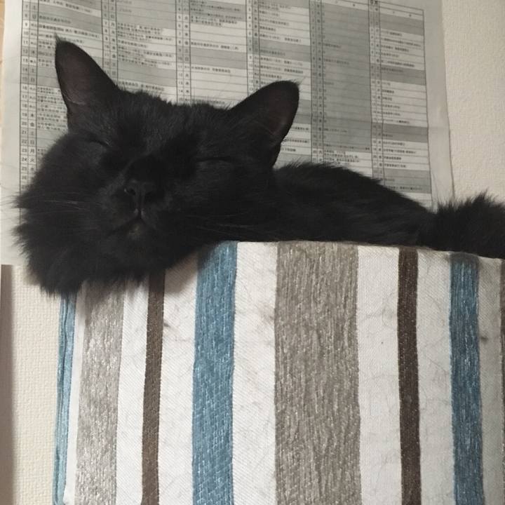 0c656d8d d333 46bd aa24 8a583ca43e1d 1536861774690