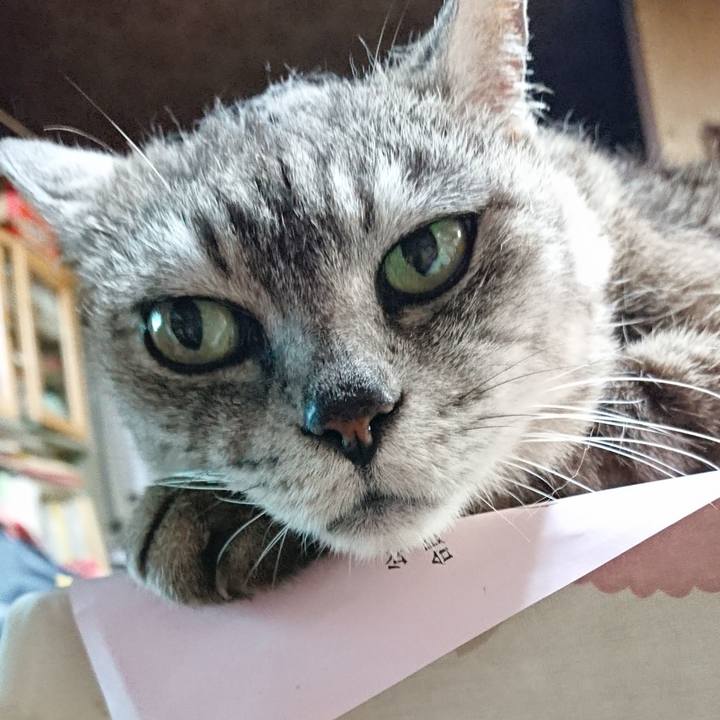 0c65878a 8a01 44ef b3f0 43df34eaf45a 1565087383638