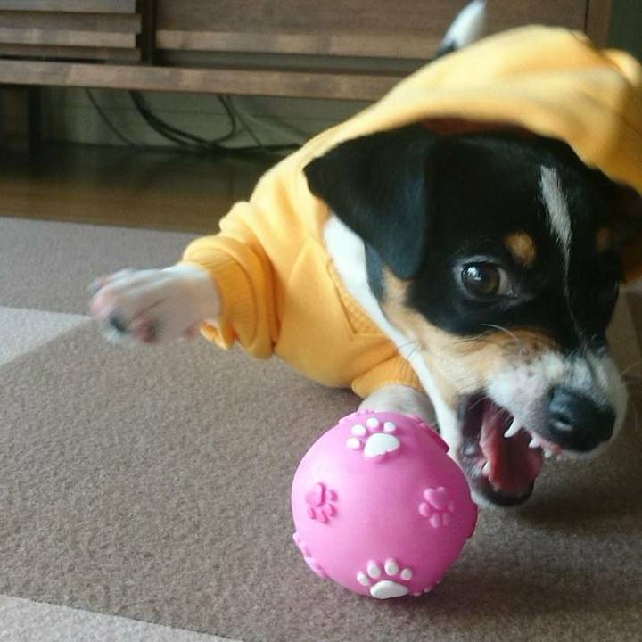 0c65caaf 4351 4284 8d98 e95fa630564b 1546783181860