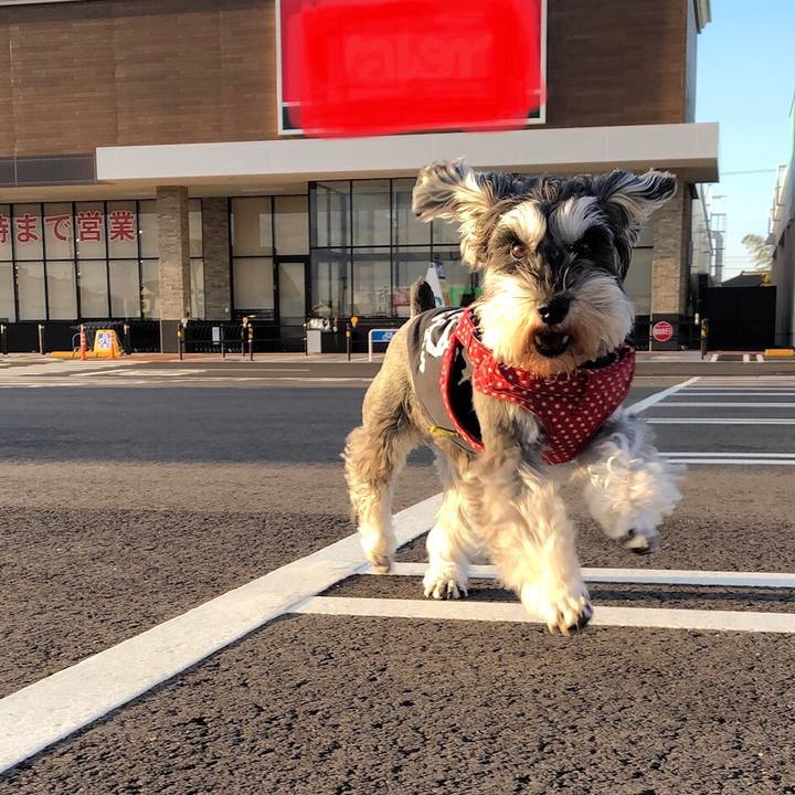 0c65de6b 219d 4def 9dcf 9aa1e6fc0eb8 1547557963146