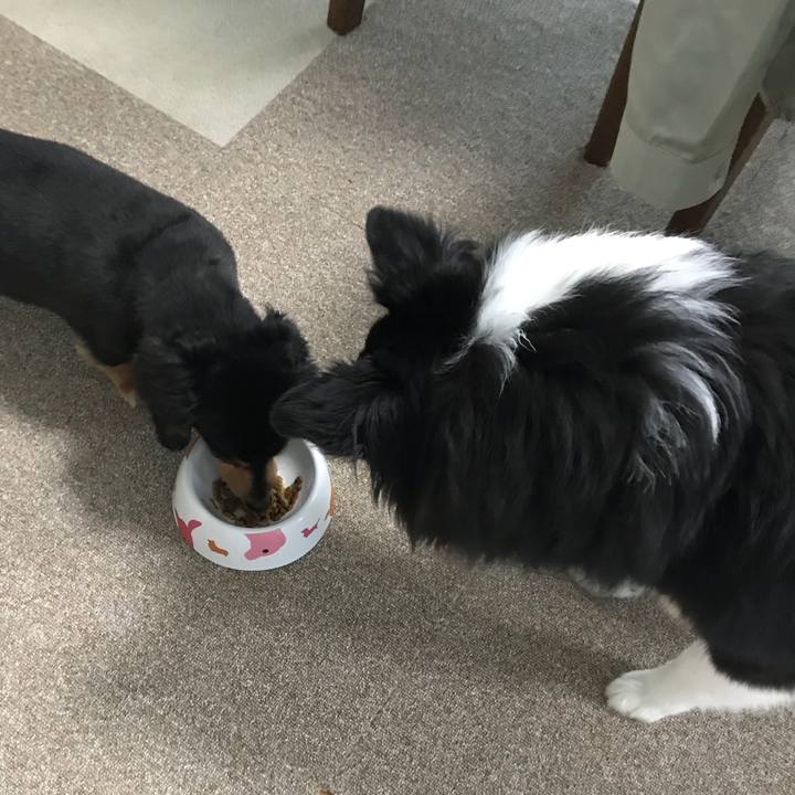 0c65ec90 b3e2 4f51 8870 612dc72875e8 1525643436912