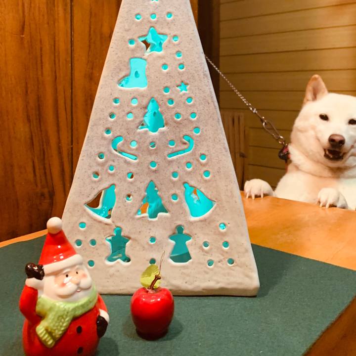 0c65ef9c a835 4af4 9e33 fb662845def4 1577262446265