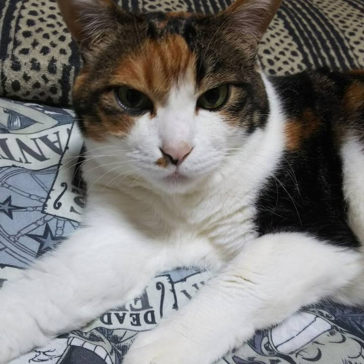 0c662f9f b46f 49fe b7fe 1c987b4cf6be 1531086033871